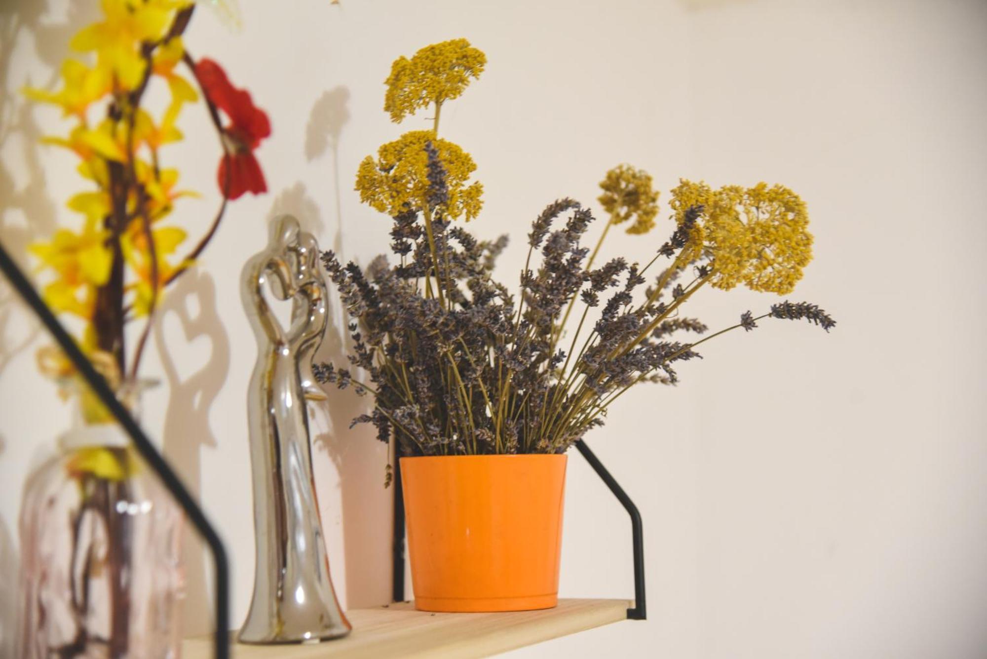 Apartments Vendi シベニク エクステリア 写真